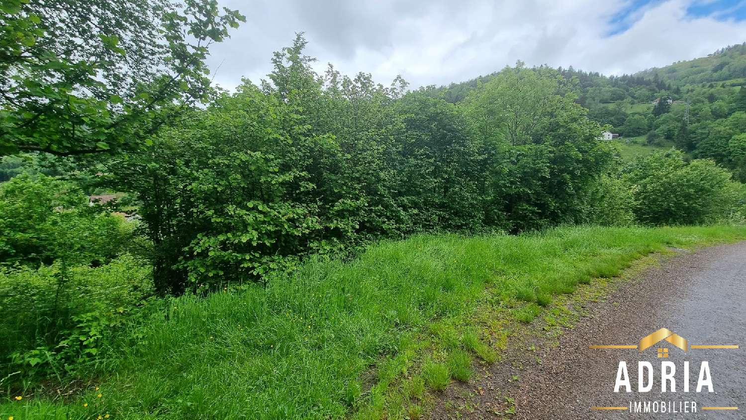  en venta terreno La Bresse Vosgos 4