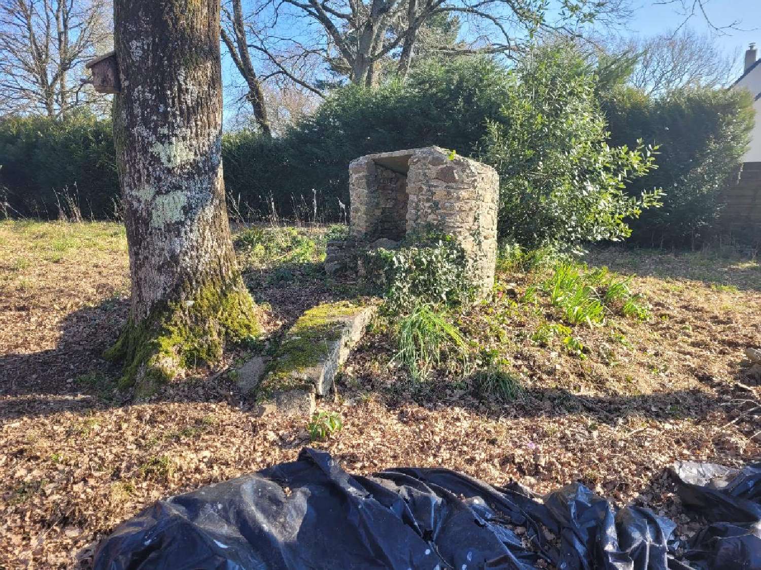  kaufen Grundstück La Chapelle-des-Marais Loire-Atlantique 2