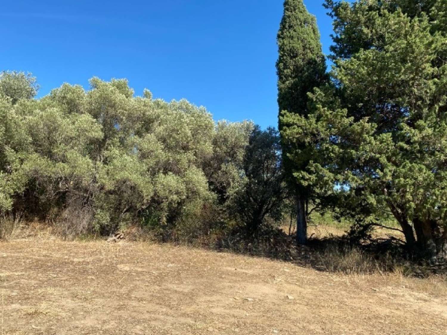  à vendre terrain La Ciotat Bouches-du-Rhône 2