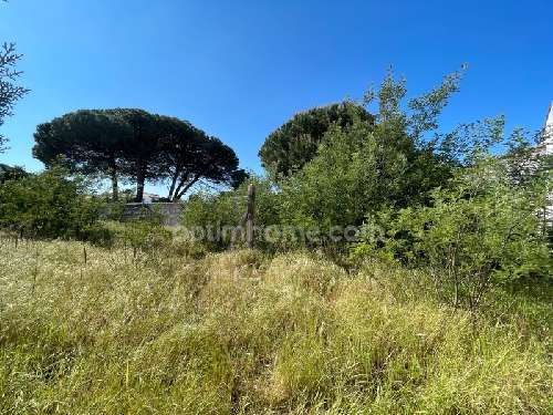 La Flotte Charente-Maritime terreno foto 7059547