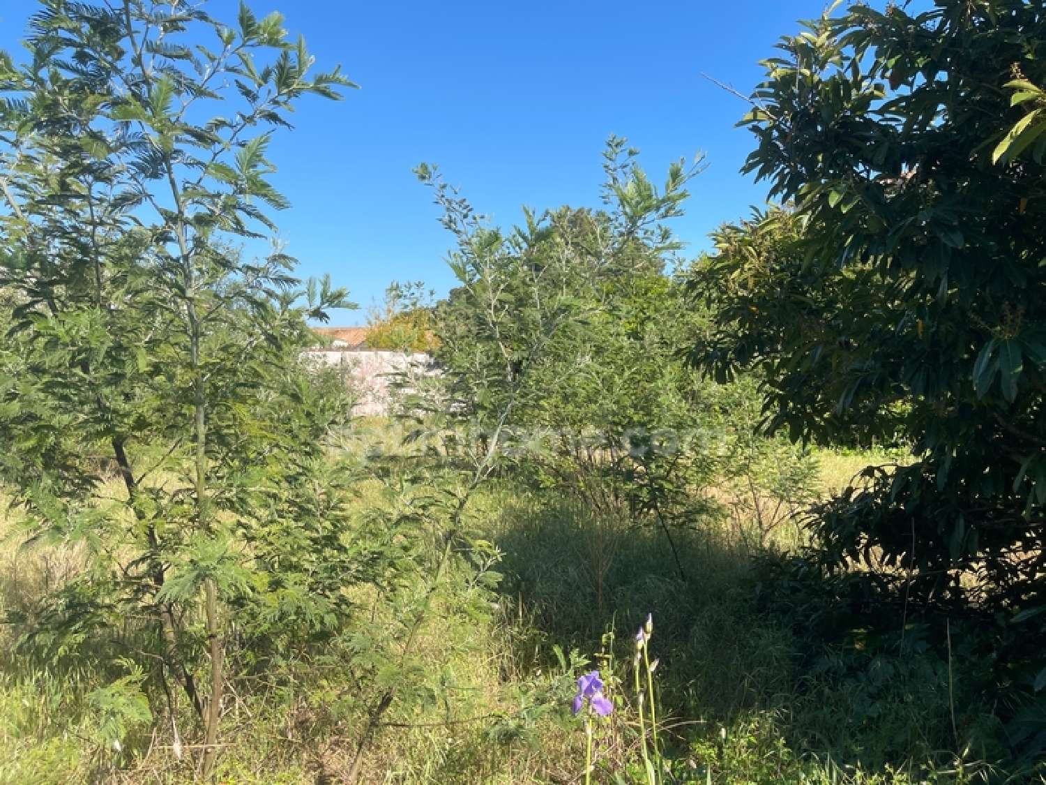 en venta terreno La Flotte Charente-Maritime 3