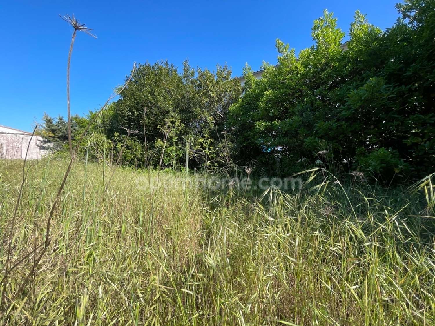  en venta terreno La Flotte Charente-Maritime 4