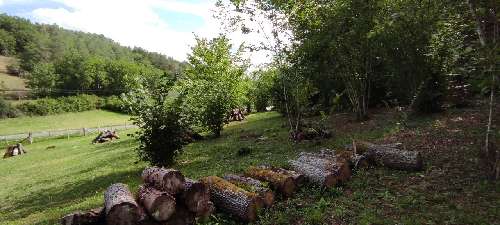 Lalinde Dordogne Grundstück Bild 7060133