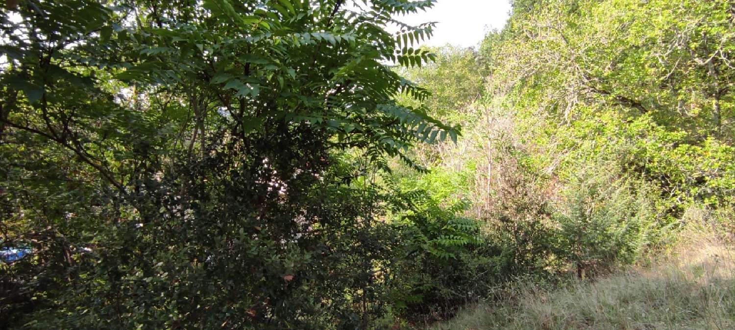  à vendre terrain Lalinde Dordogne 5