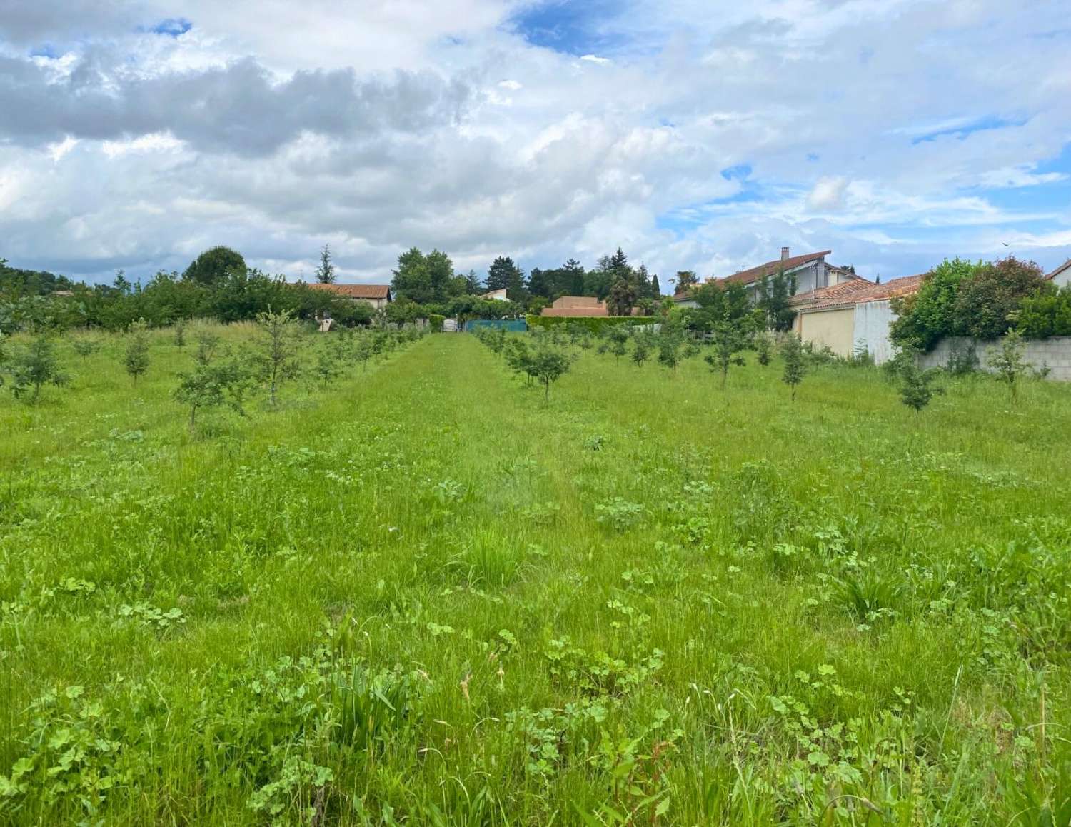  for sale terrain Larnage Drôme 1