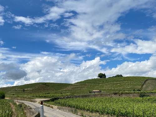 Larnage Drôme Grundstück Bild 7068512