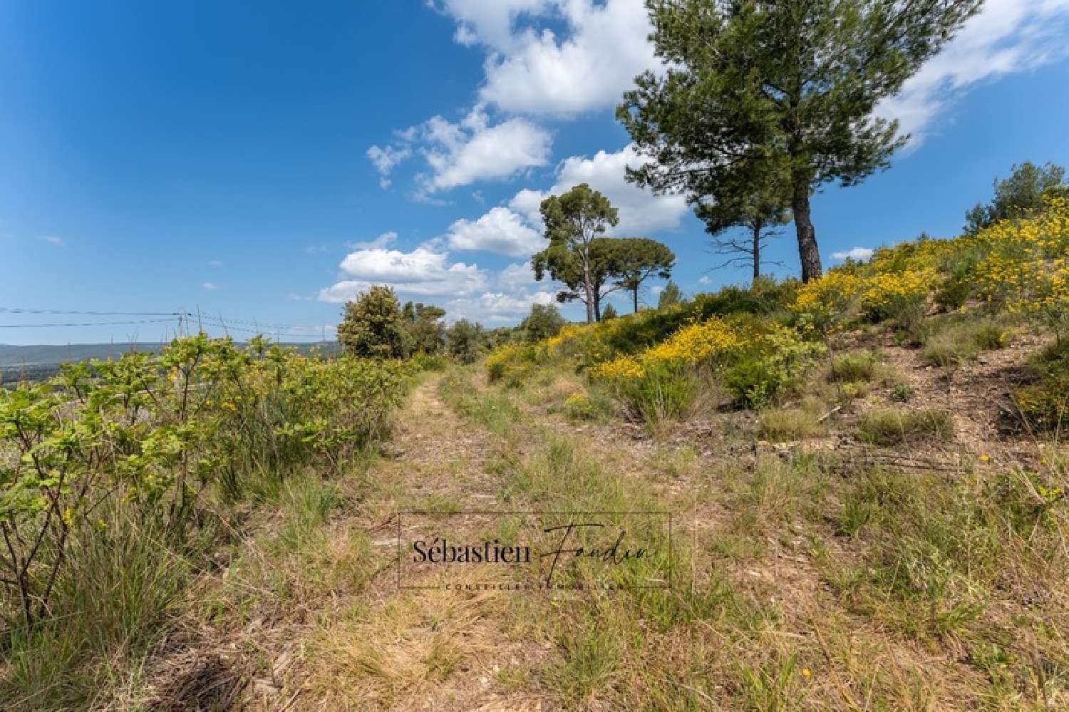  en venta terreno Le Beausset Var 4