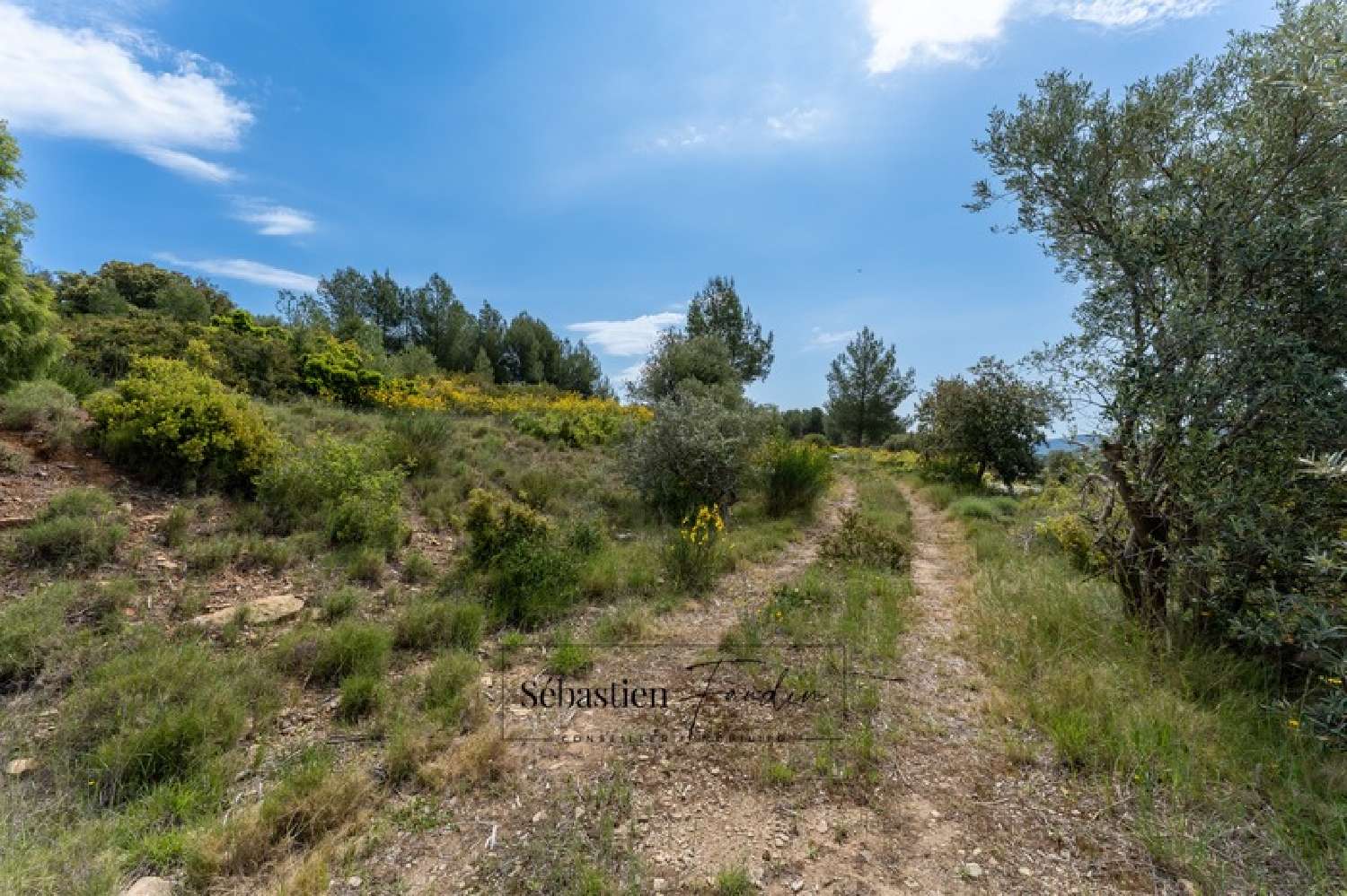  en venta terreno Le Beausset Var 6