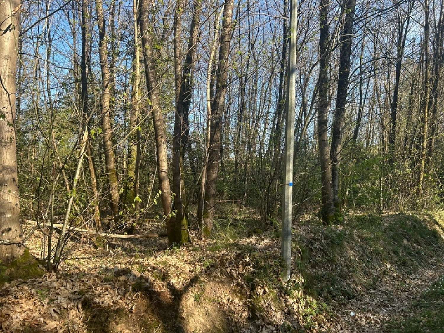  te koop terrein Le Vieil-Baugé Maine-et-Loire 1