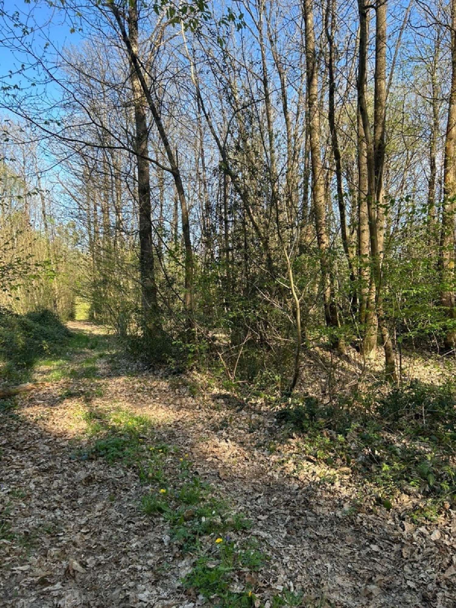  te koop terrein Le Vieil-Baugé Maine-et-Loire 4