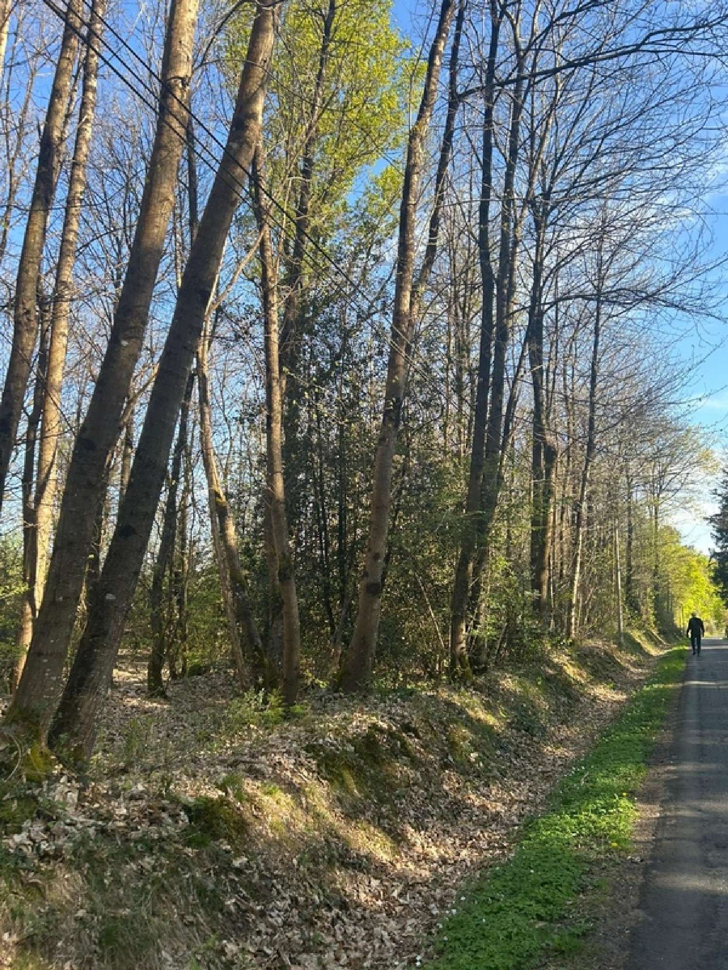  te koop terrein Le Vieil-Baugé Maine-et-Loire 5