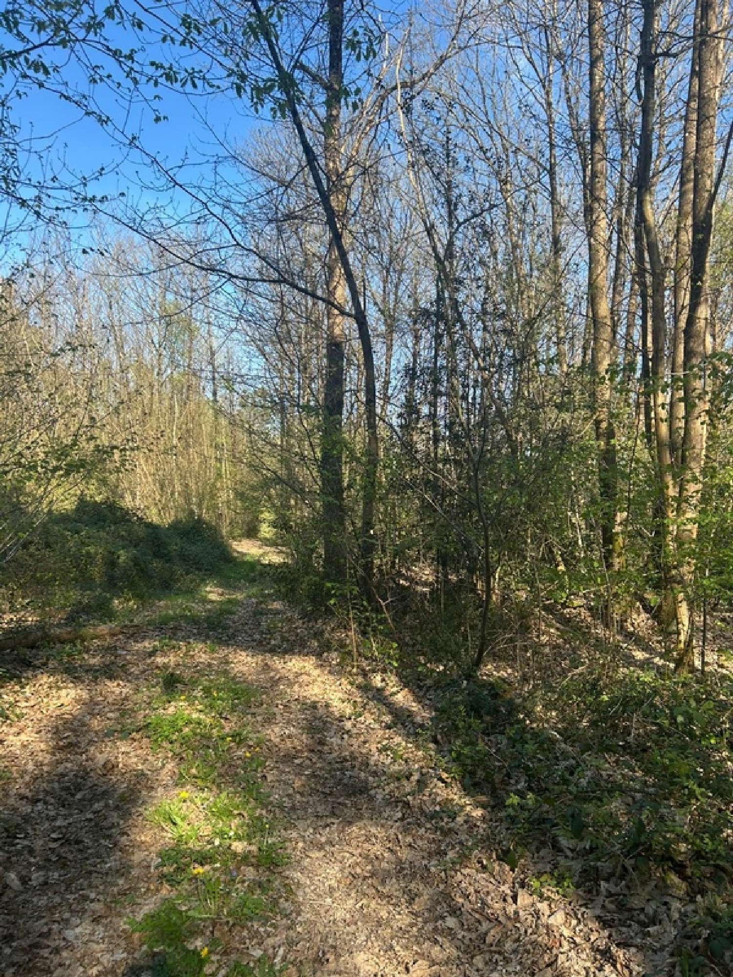  te koop terrein Le Vieil-Baugé Maine-et-Loire 7
