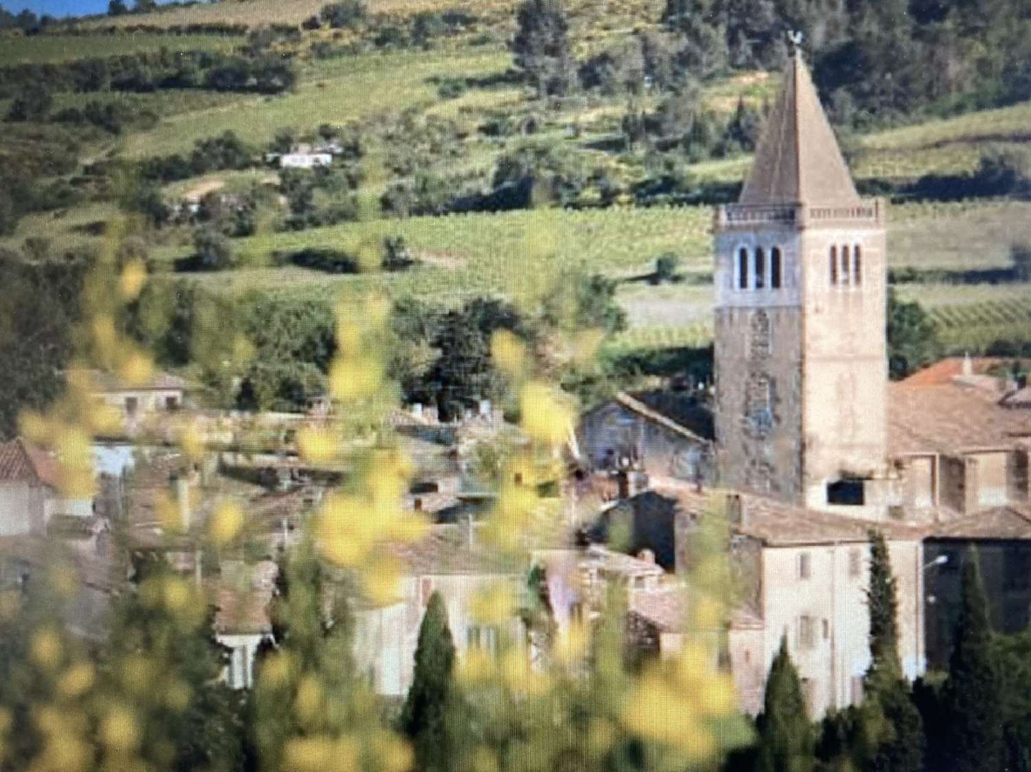  kaufen Grundstück Lézignan-Corbières Aude 4