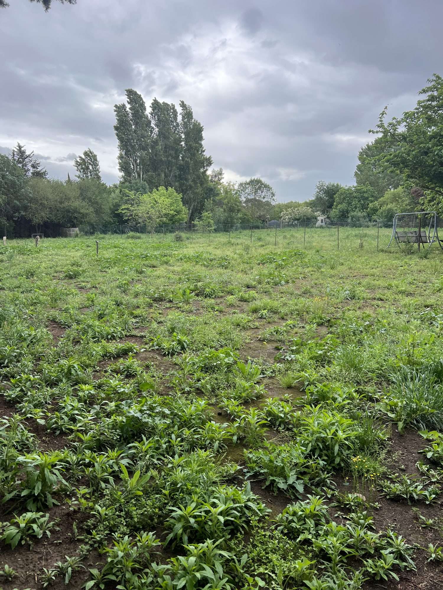  à vendre terrain Lignan-sur-Orb Hérault 6
