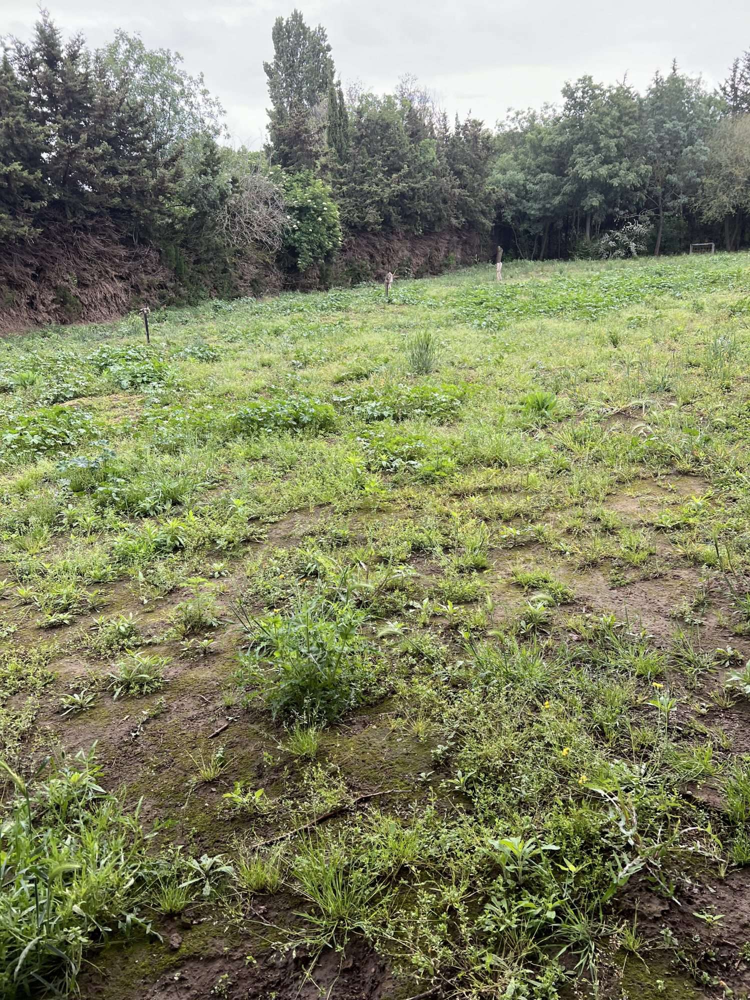  à vendre terrain Lignan-sur-Orb Hérault 3