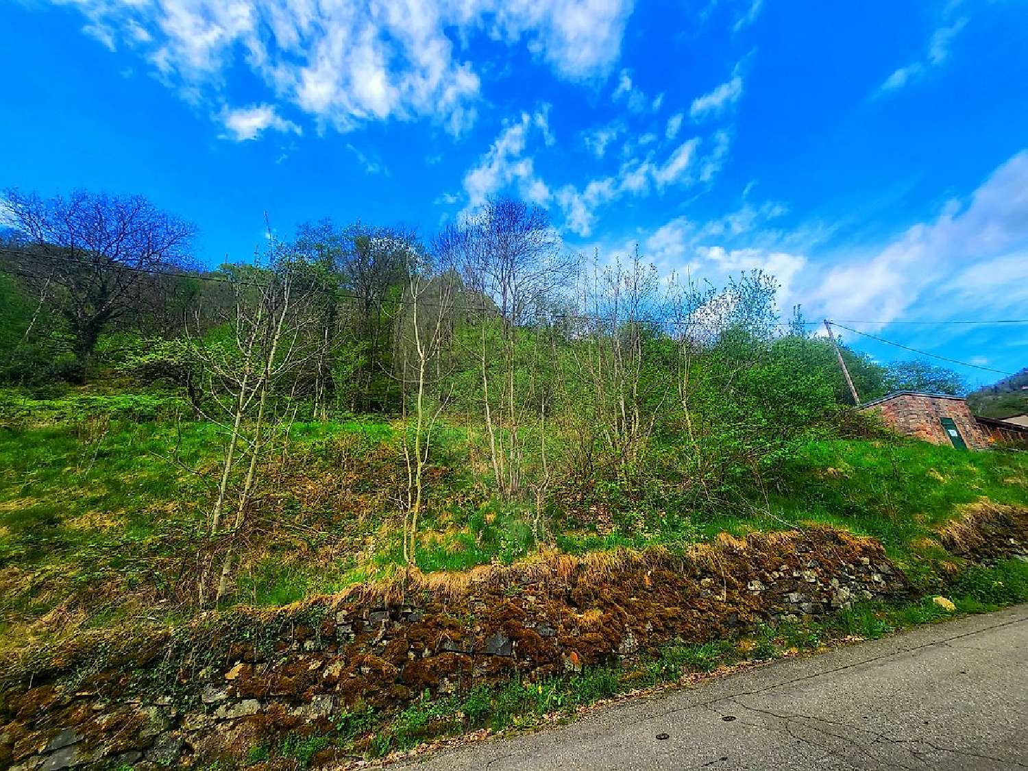  for sale terrain Linthal Haut-Rhin 2