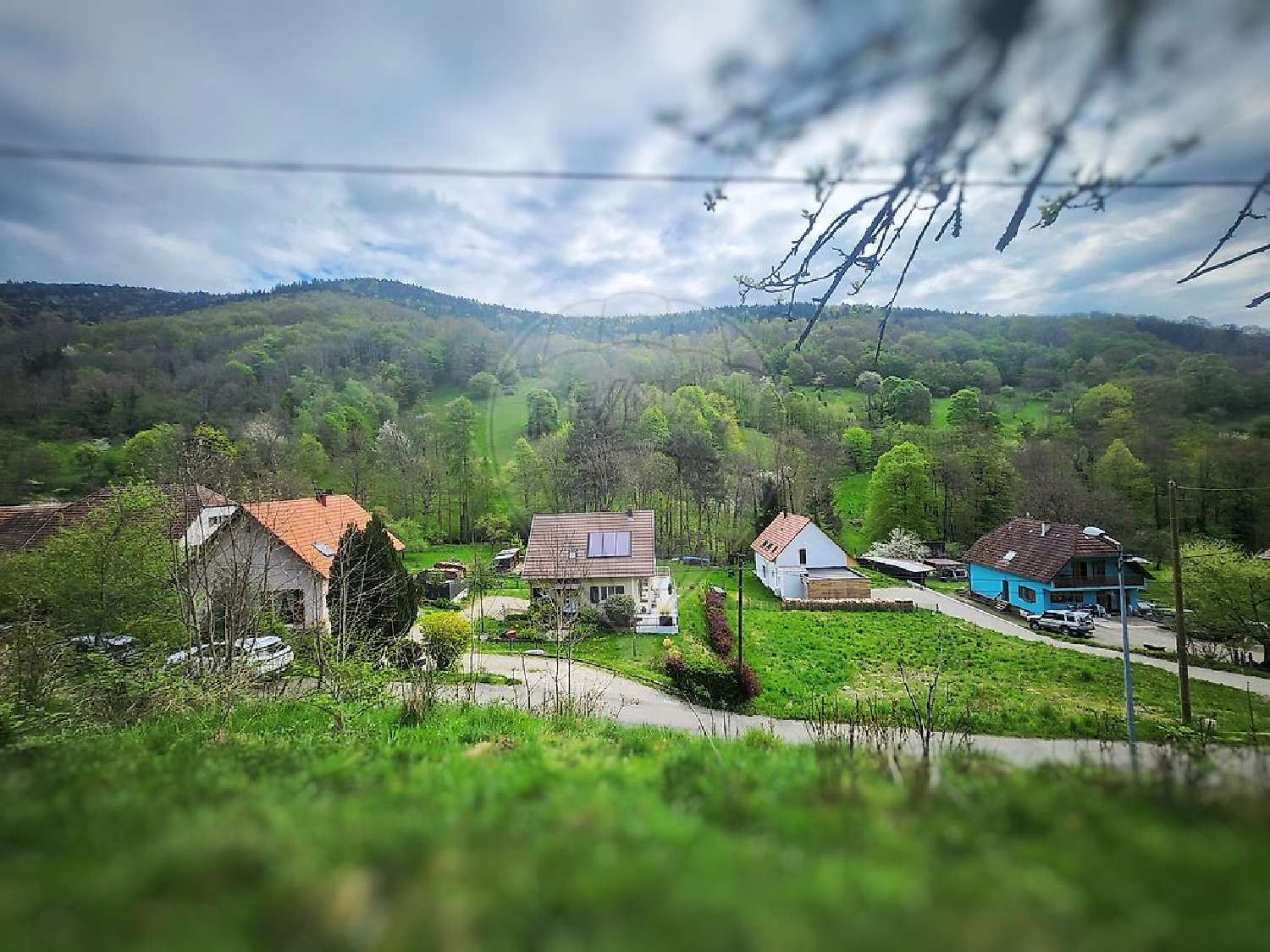  for sale terrain Linthal Haut-Rhin 3