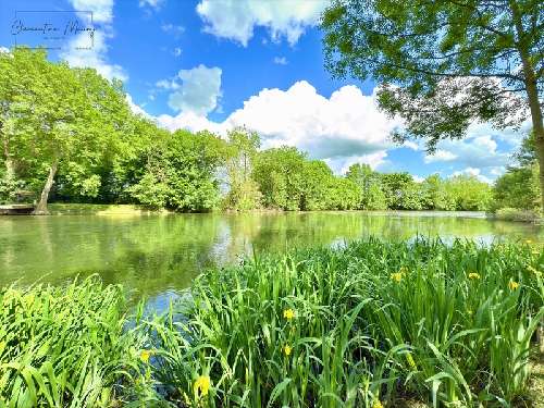 Lunay Loir-et-Cher terreno foto 7067165