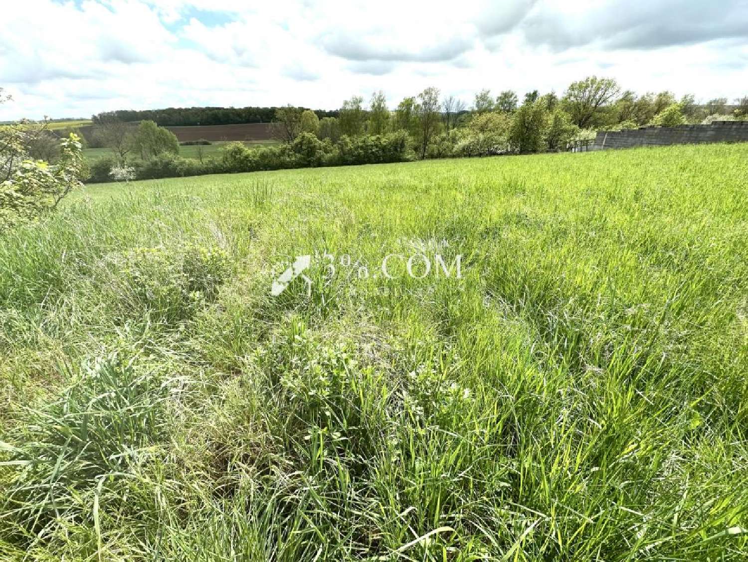  te koop terrein Maixe Meurthe-et-Moselle 2