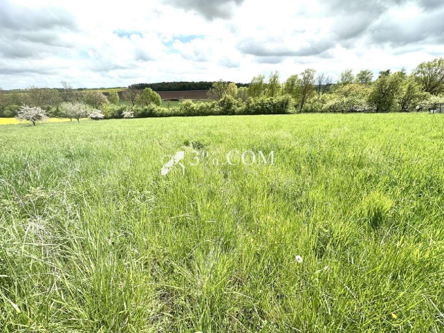  te koop terrein Maixe Meurthe-et-Moselle 3