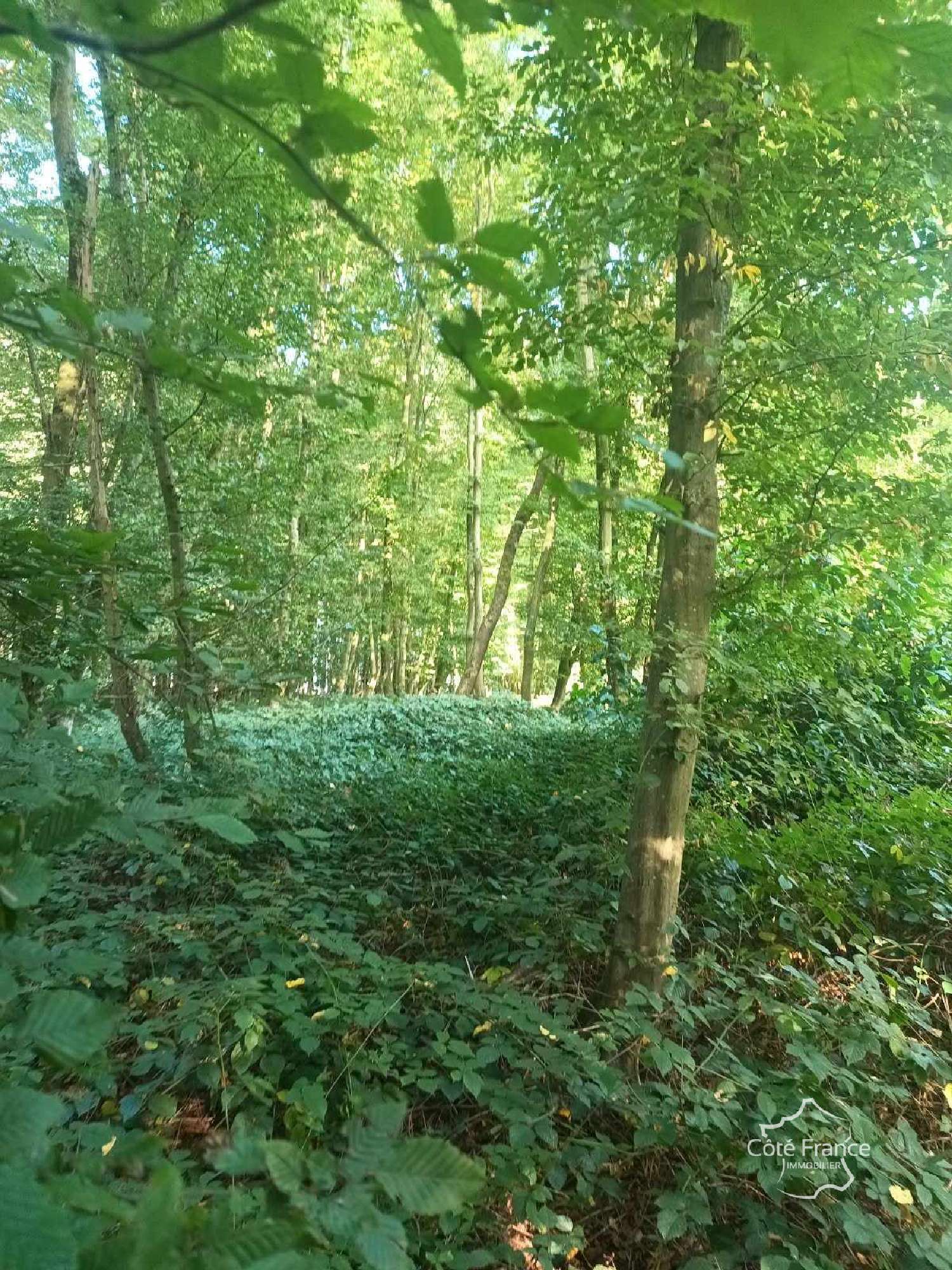  en venta terreno Marle Aisne 1