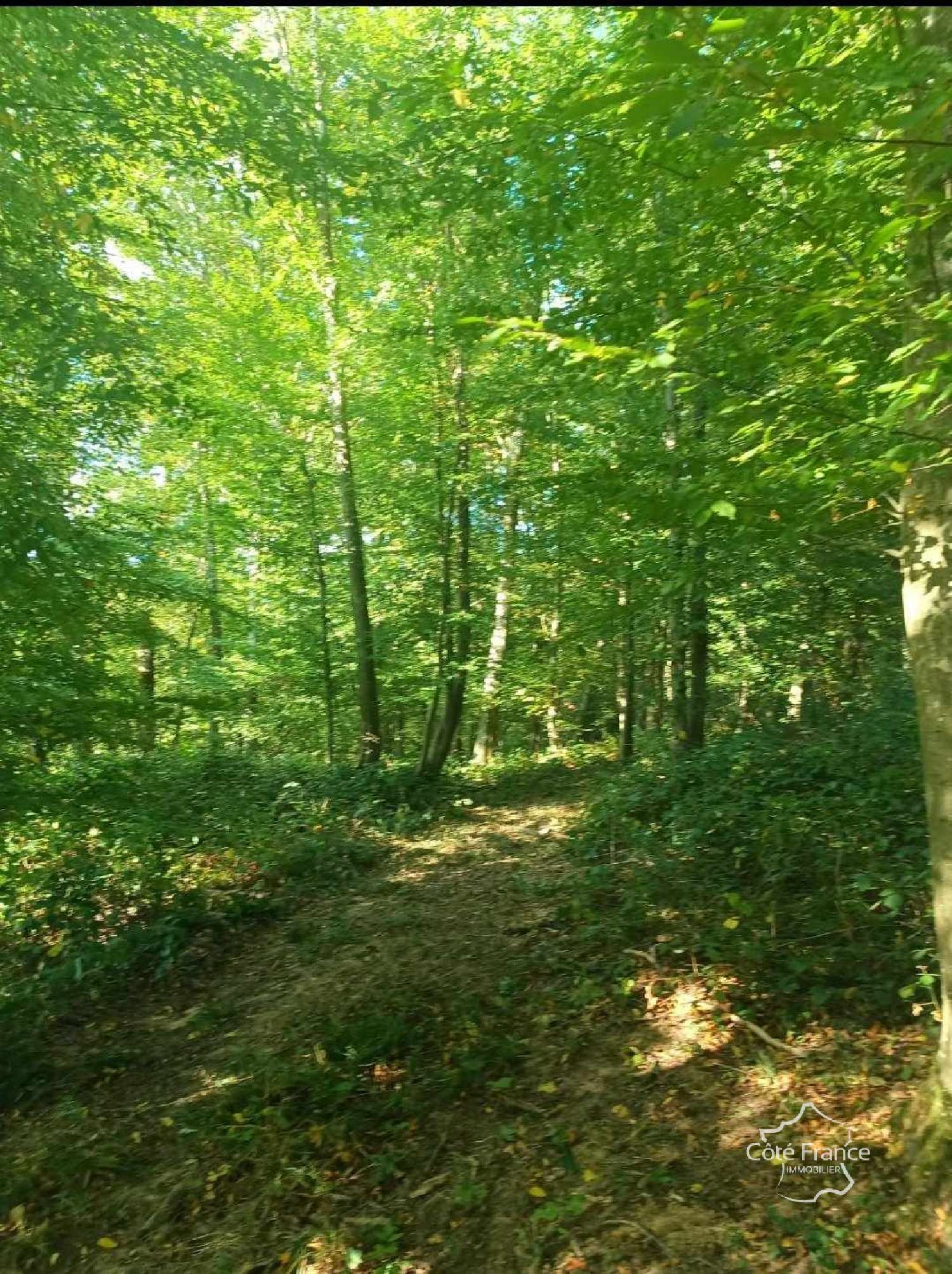  en venta terreno Marle Aisne 2