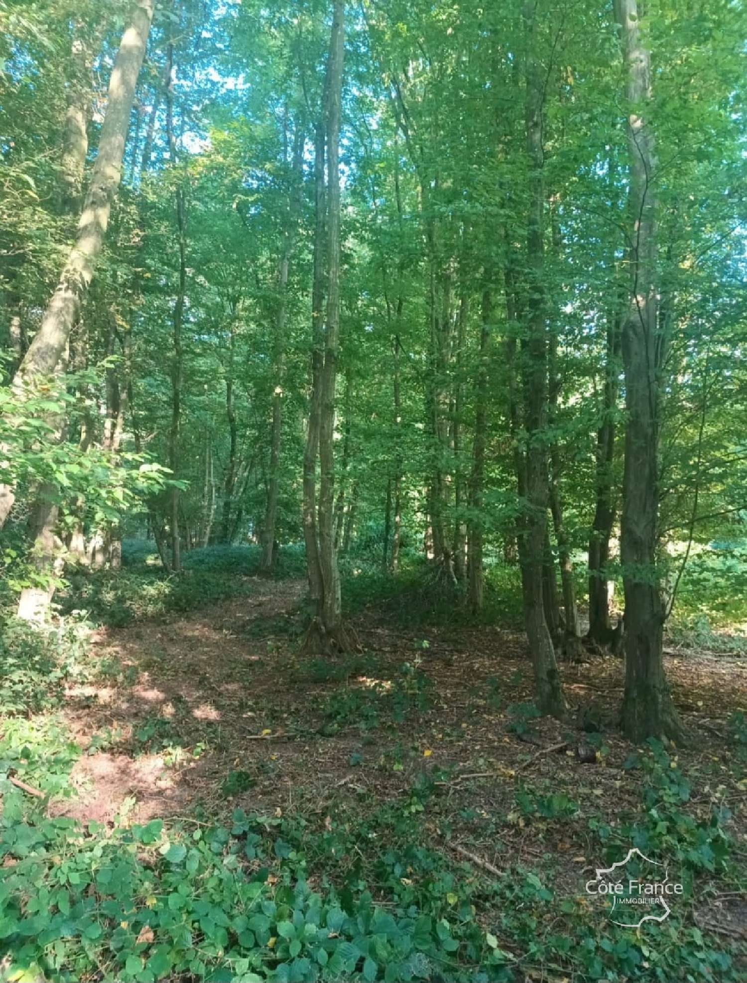  en venta terreno Marle Aisne 4
