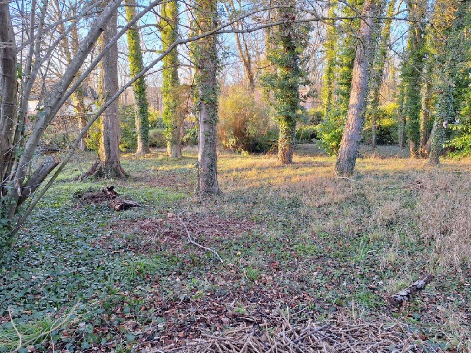  kaufen Grundstück Maule Yvelines 2