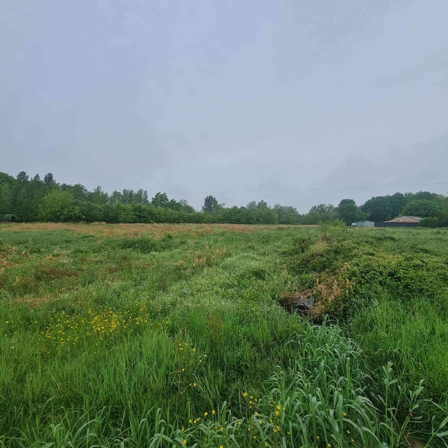  te koop terrein Ménesplet Dordogne 1