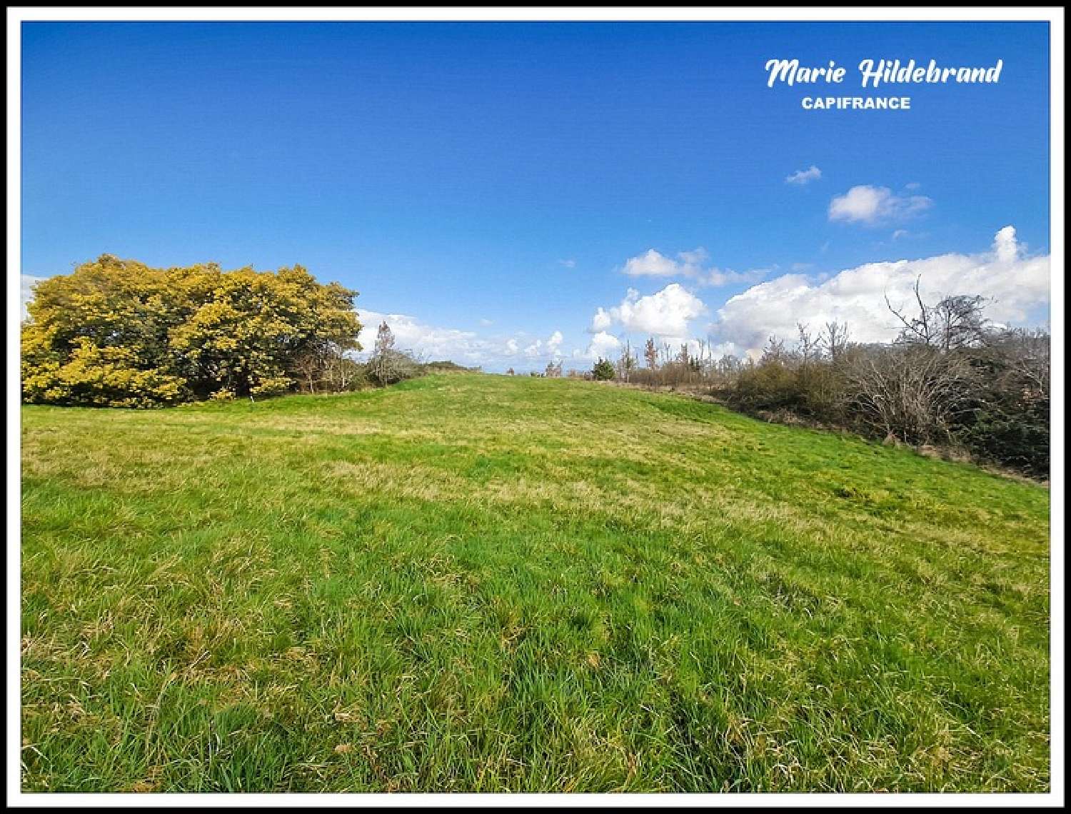  te koop terrein Moissac Tarn-et-Garonne 1
