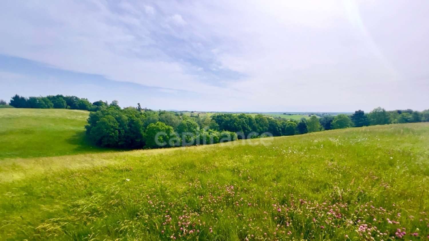  à vendre terrain Montauban Tarn-et-Garonne 1