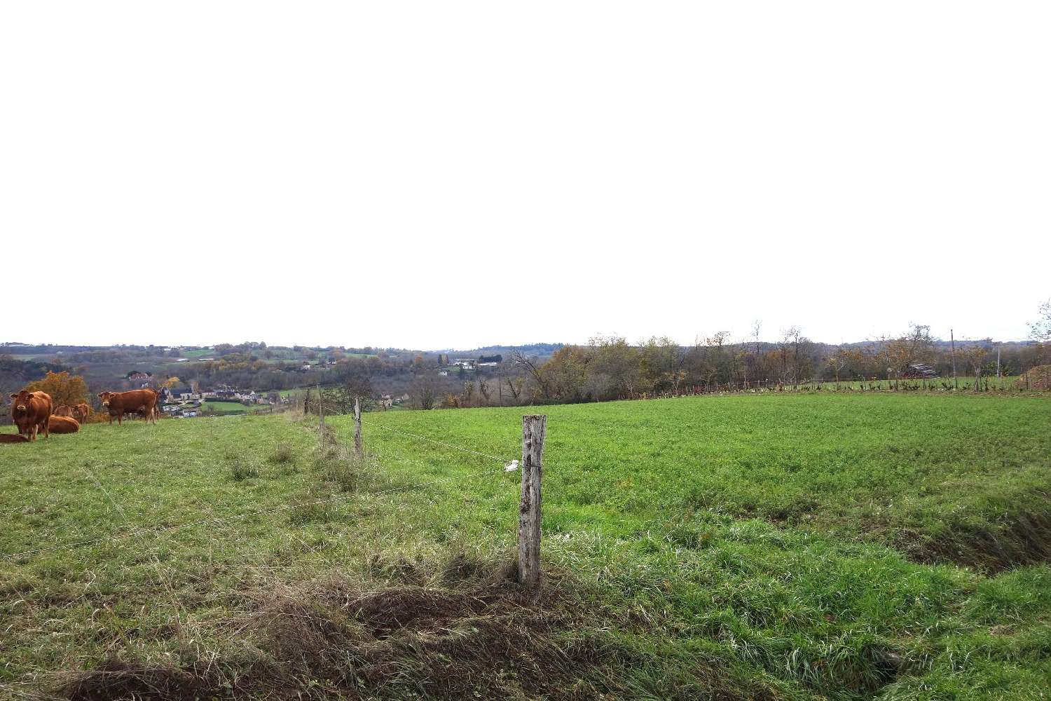 te koop terrein Nailhac Dordogne 5