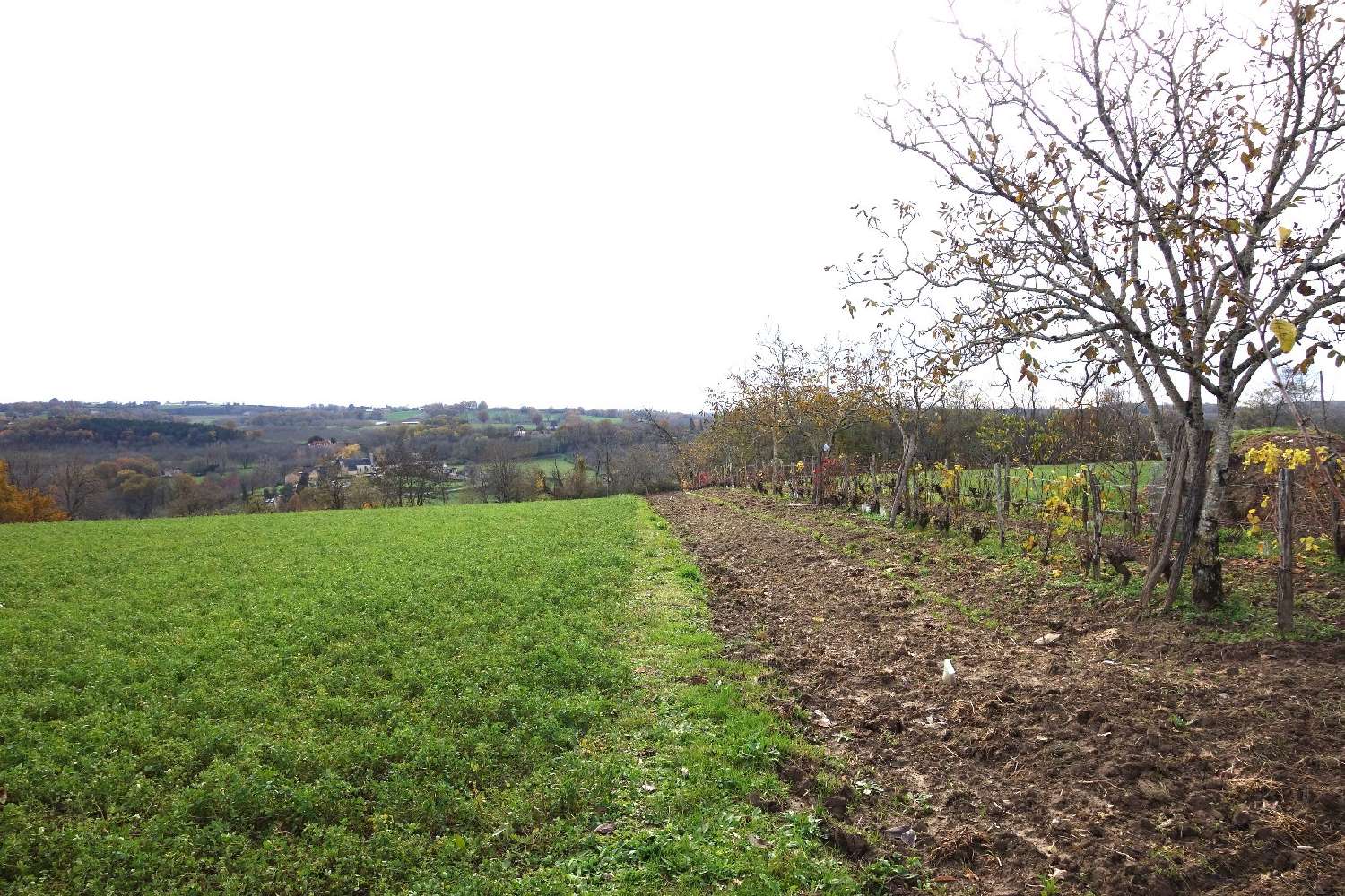  te koop terrein Nailhac Dordogne 6