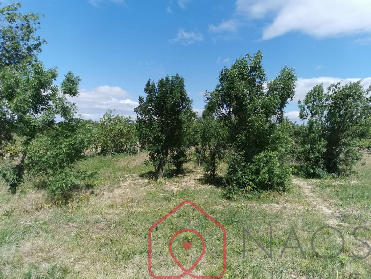  kaufen Grundstück Narbonne Aude 2