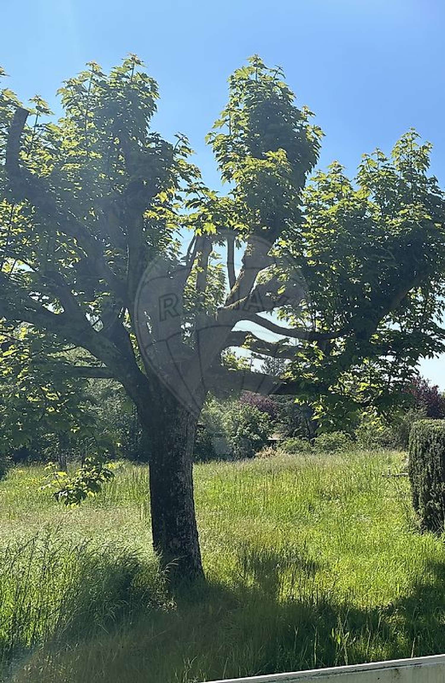  for sale terrain Nilvange Moselle 2