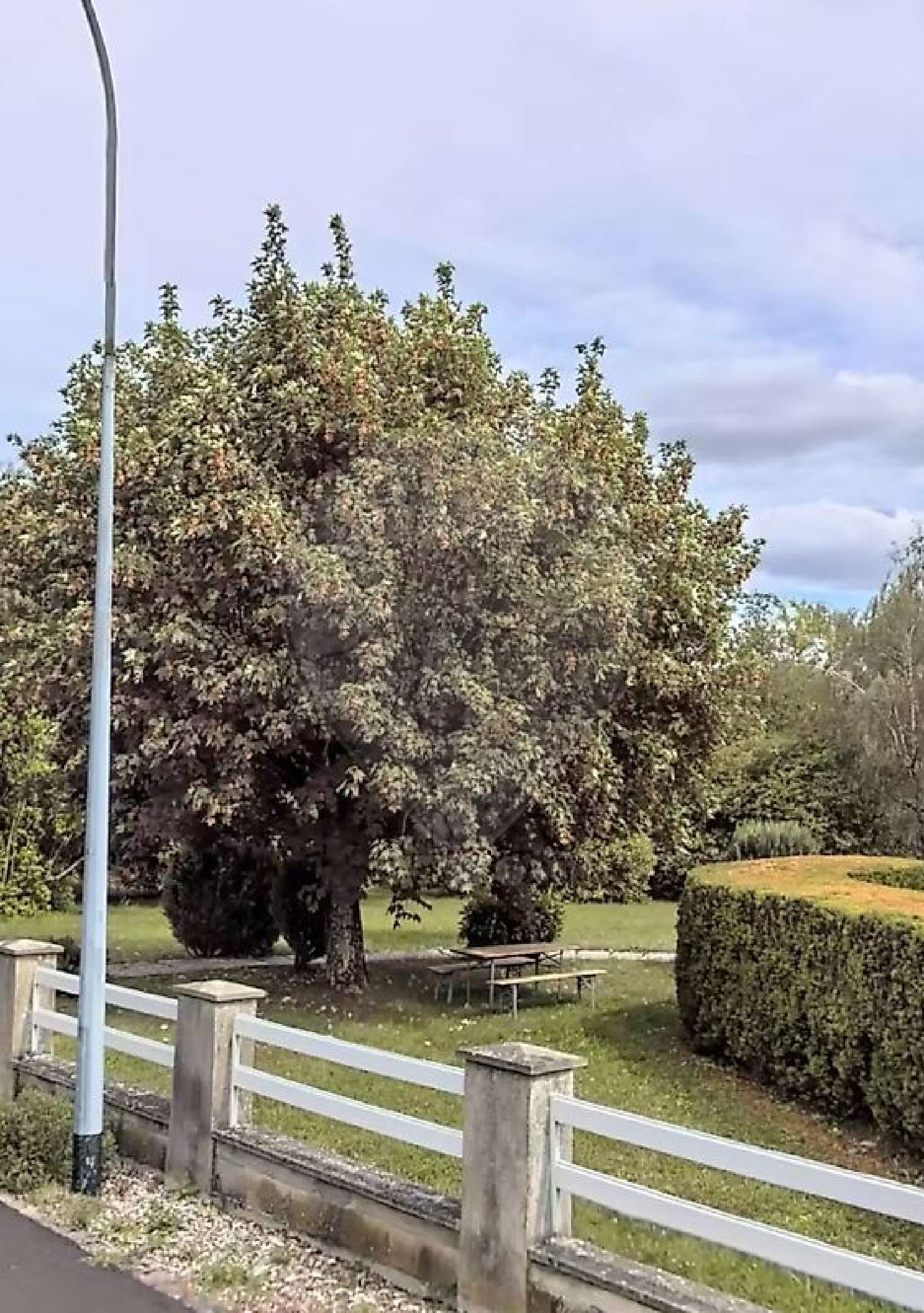  for sale terrain Nilvange Moselle 3