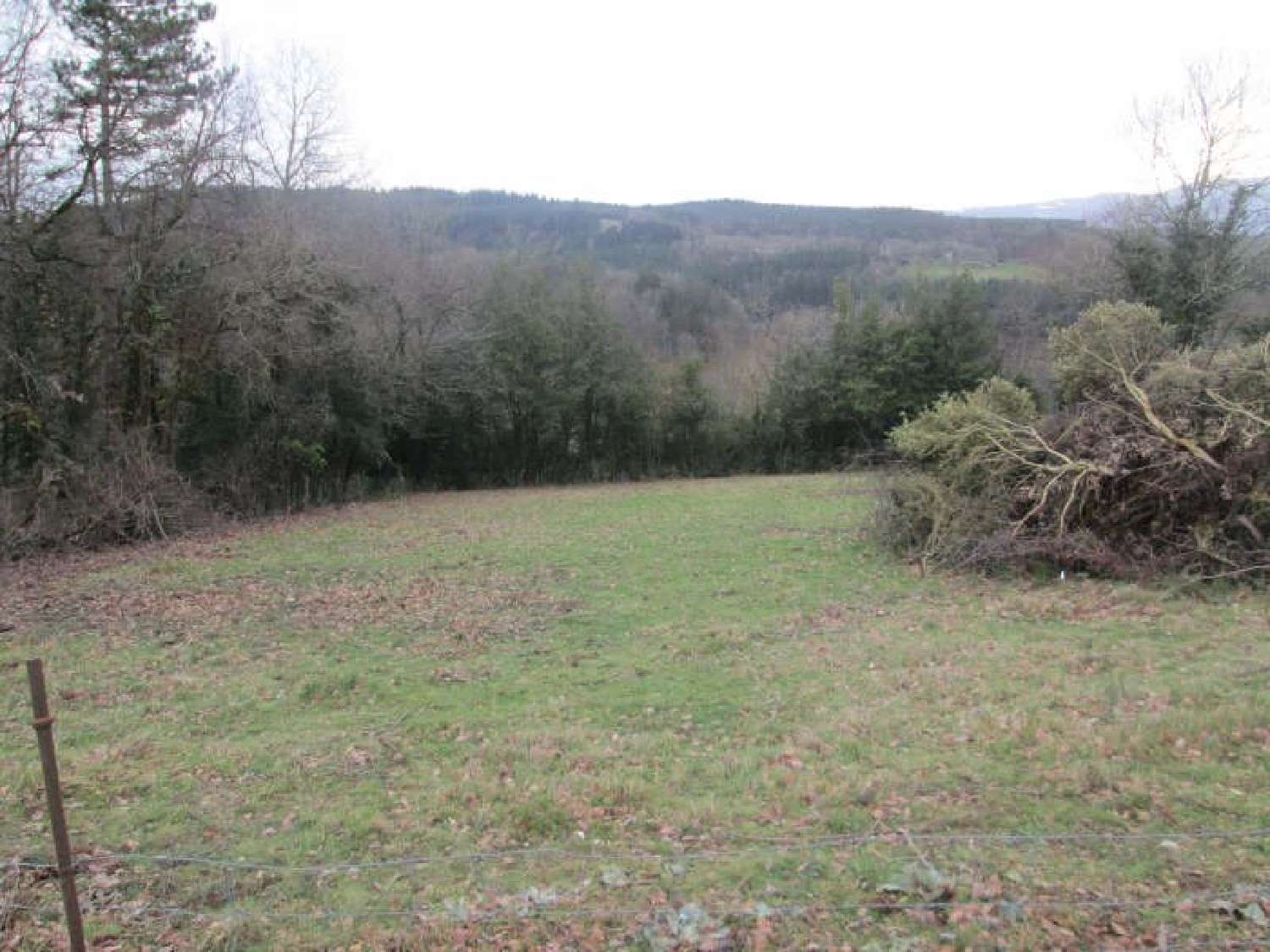  for sale terrain Noailhac Tarn 1