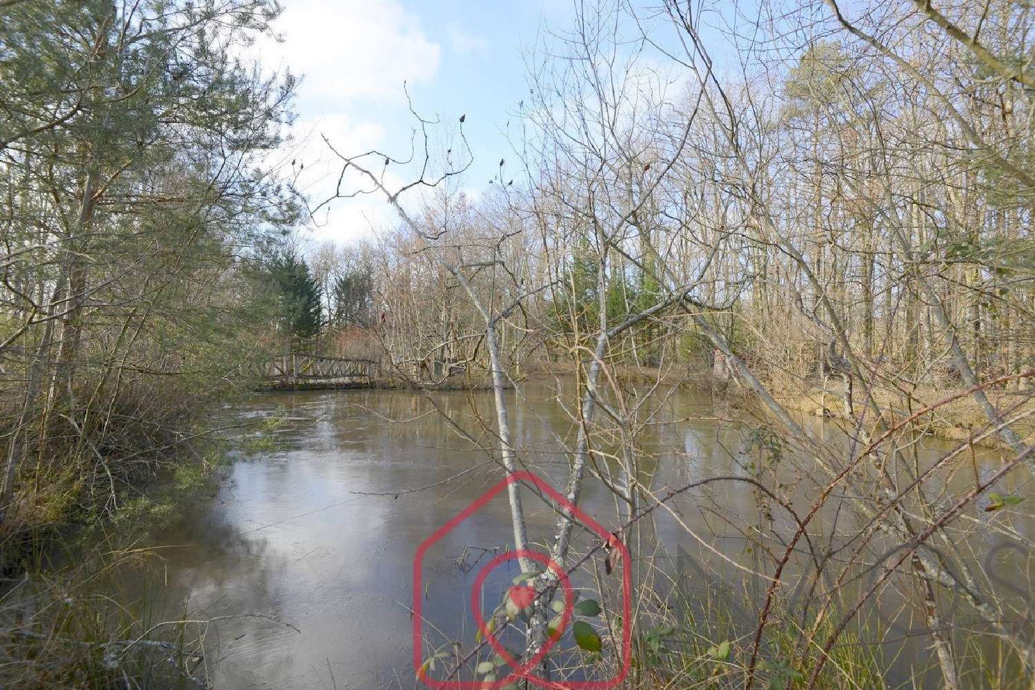  à vendre terrain Nouan-le-Fuzelier Loir-et-Cher 7