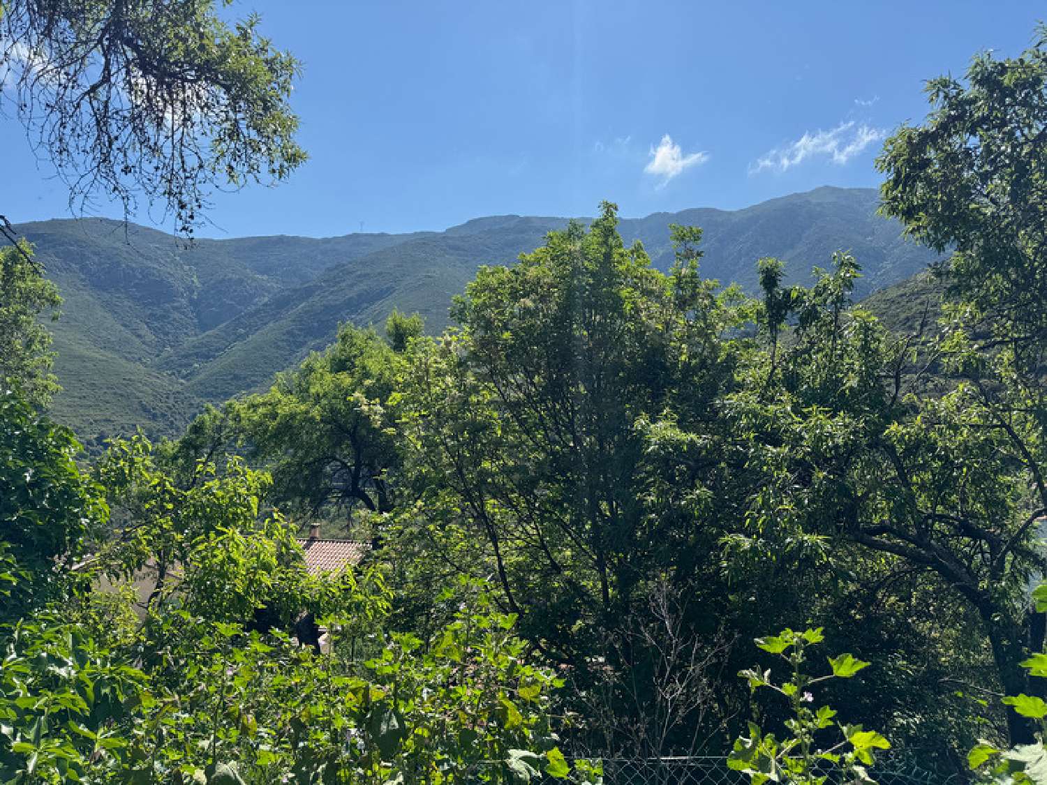 en venta terreno Occhiatana Haute-Corse 2
