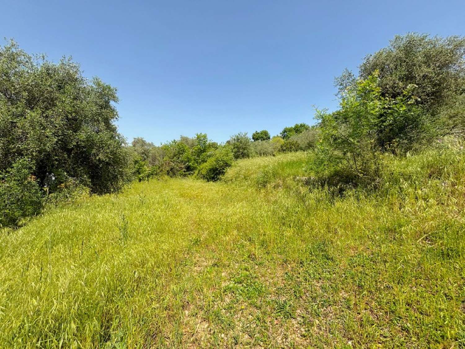  en venta terreno Opio Alpes-Maritimes 2