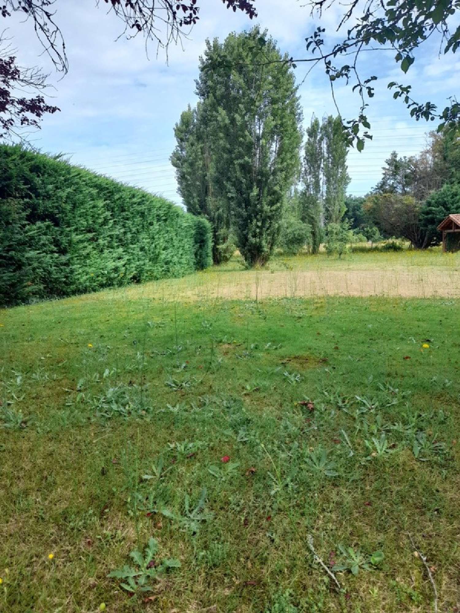  te koop terrein Périssac Gironde 2