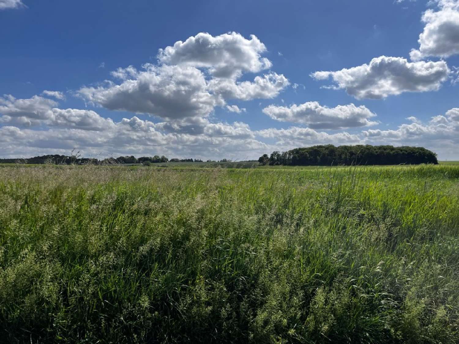  for sale terrain Porcheux Oise 2