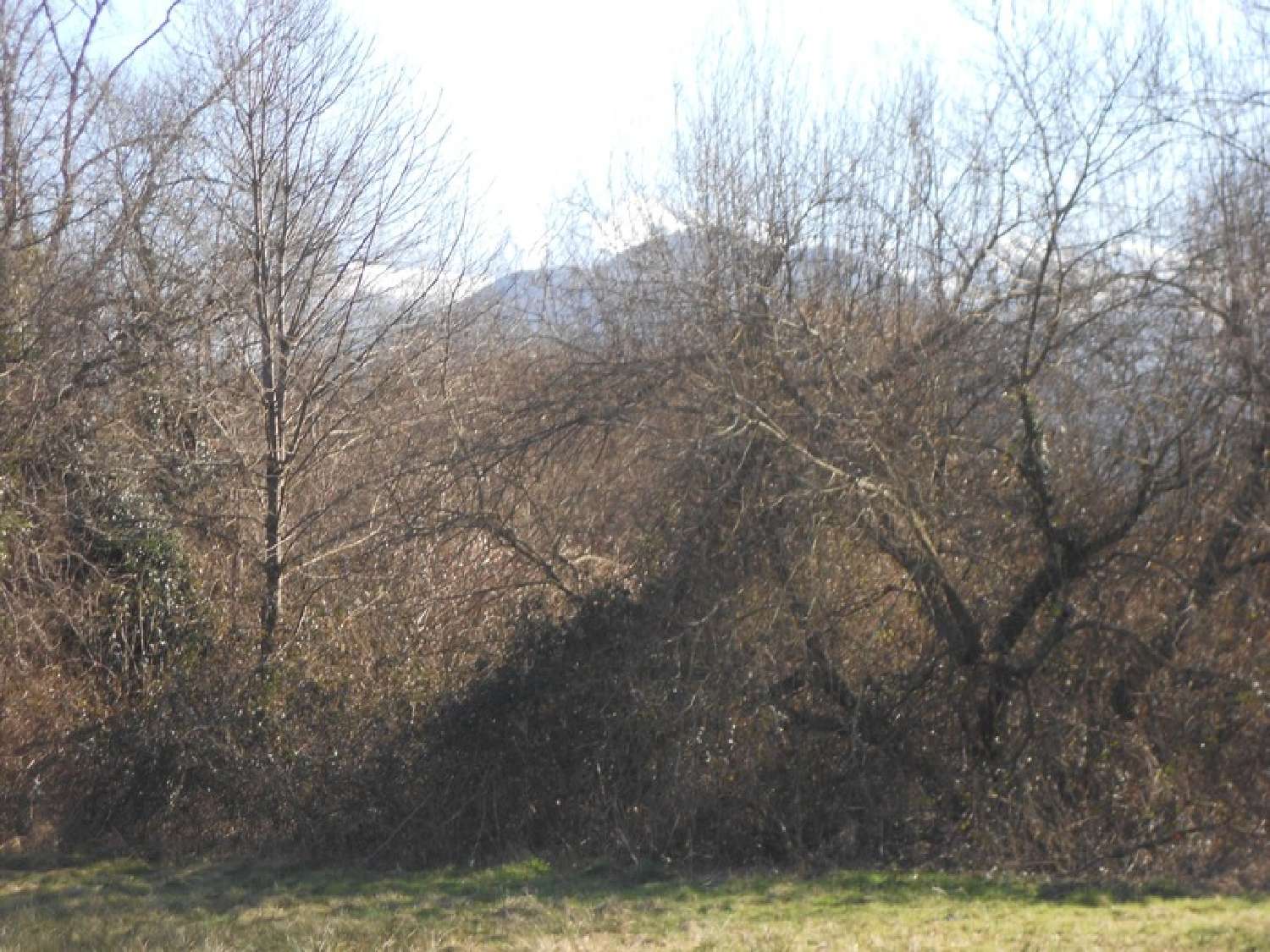  en venta terreno Poueyferré Hautes-Pyrénées 4
