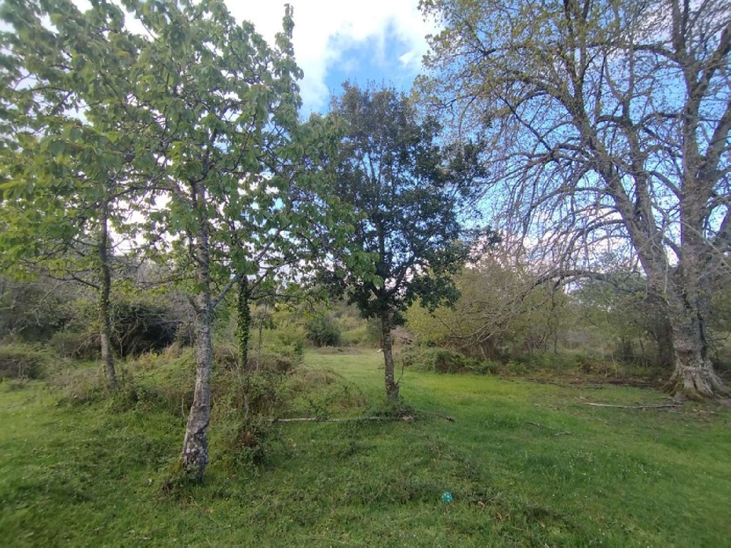  à vendre terrain Quenza Corse-du-Sud 2