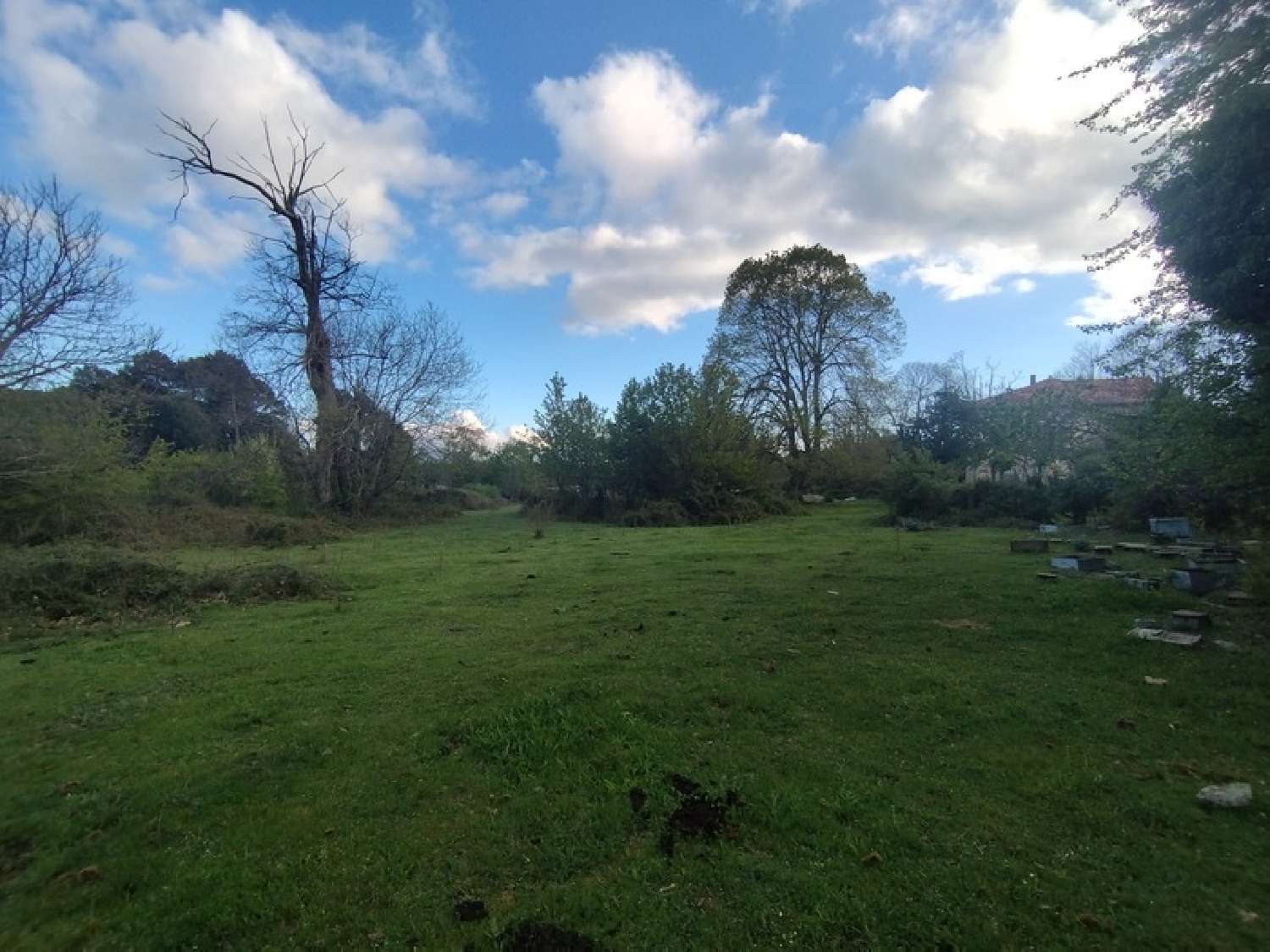  à vendre terrain Quenza Corse-du-Sud 3