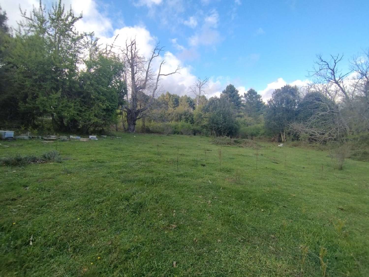  à vendre terrain Quenza Corse-du-Sud 4
