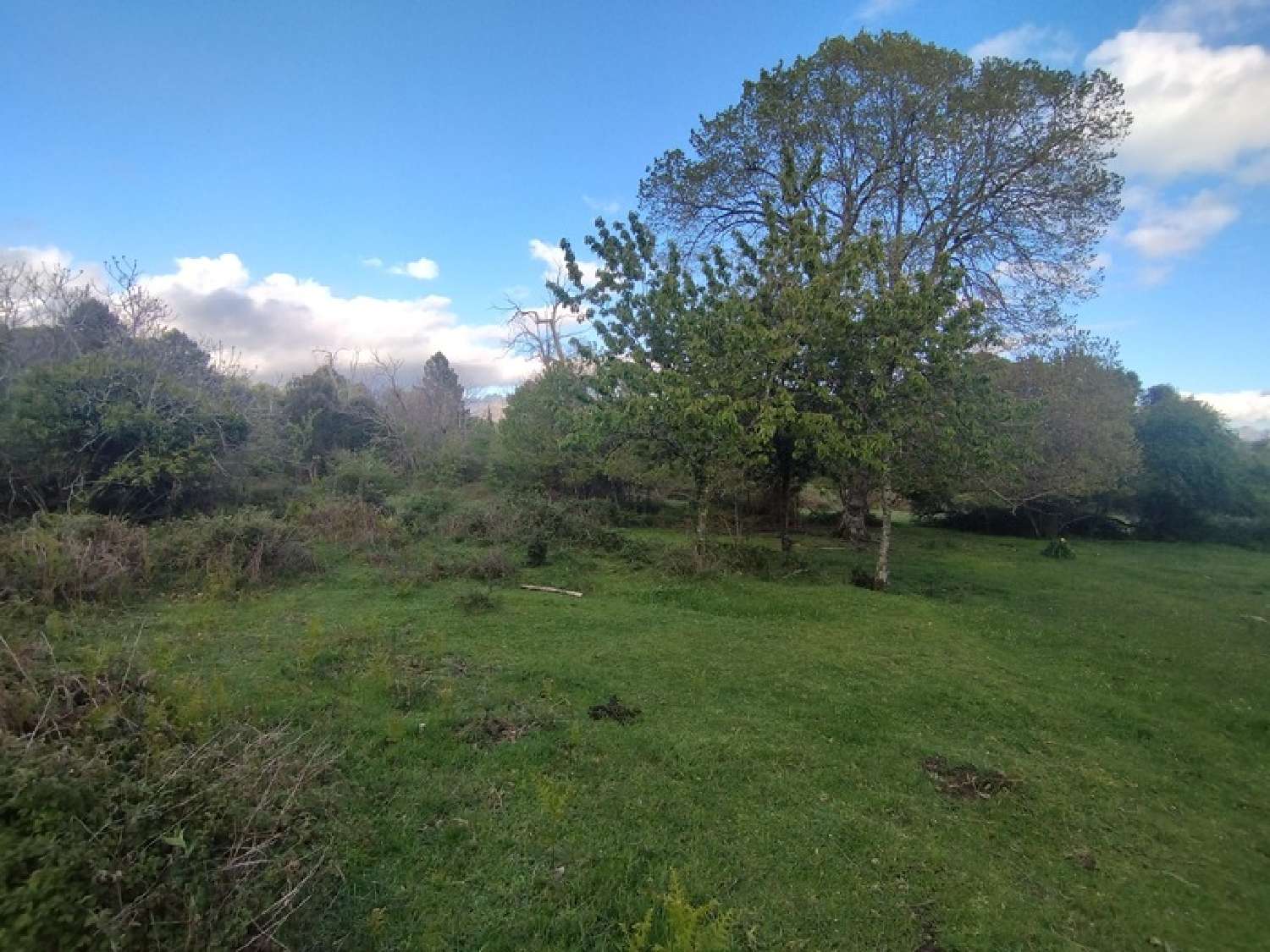  à vendre terrain Quenza Corse-du-Sud 6