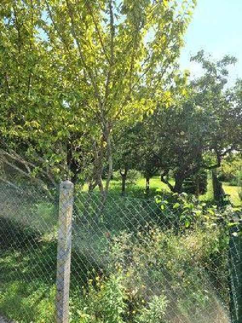 Romilly-sur-Seine Aube terrein foto 7059203