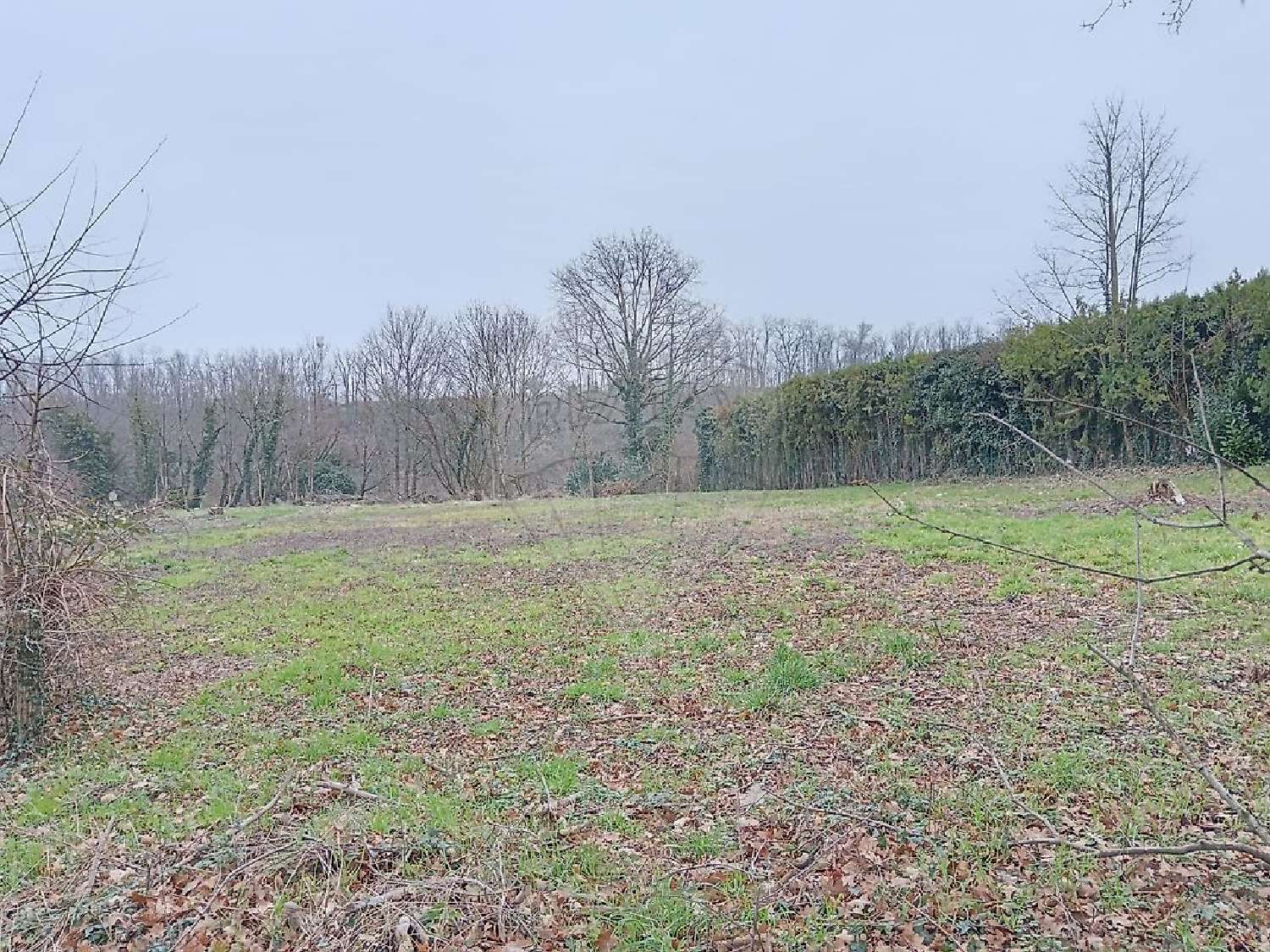  te koop terrein Saint-Didier-de-Formans Ain 2