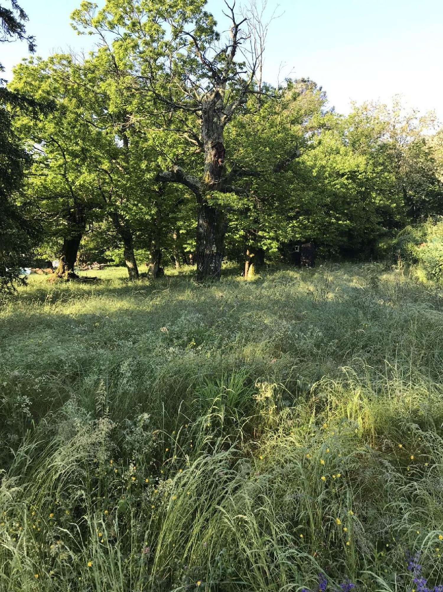  kaufen Grundstück Saint-Florent-sur-Auzonnet Gard 3